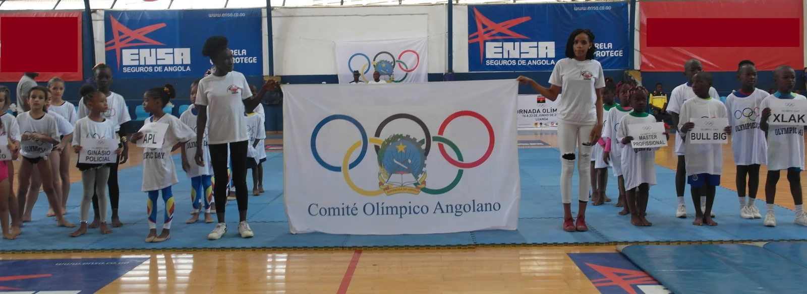 Imagem 6 da publicação: Semana Olimpica - 2019